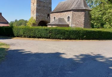 Tour Wandern Assesse - COURRIERE - Marche Fédérale _NA _ 7/08/2022 - Photo