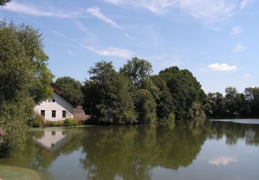 Tocht Te voet Jankov - [M] Jankov - Šlapánov - Photo