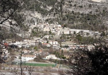 Tocht Stappen Touët-sur-Var - La villa du Collet - Touet La Penne via la baisse de Rourebel - Photo