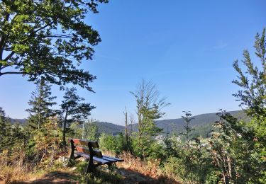 Trail On foot Warmensteinach - Warmensteinach Rundwanderweg Nr. 4 - Photo