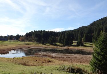 Tocht Te voet Lusérn - Luserna - Sentiero Europeo numero 5 - Photo