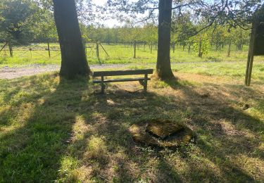 Randonnée Marche Florennes - Tournibus étang - Photo