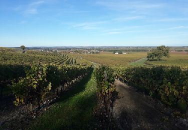 Trail Walking Saint-Preuil - Circuit des fontaines et des lavoirs - Variante balisage Violet - Photo