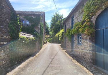 Excursión Senderismo Lierneux - Jevigne 190825 - Photo