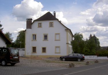 Tour Zu Fuß Mantel - Lohweg - Photo