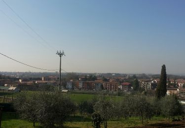 Percorso A piedi Negrar di Valpolicella - Parona - Montecchio - Photo