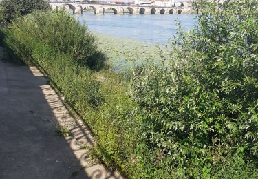Trail Walking Mâcon - macon - Photo