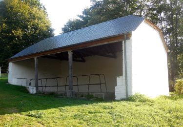 Randonnée A pied Florenville - 14. Les Étangs de Conques - Photo