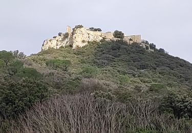 Trail Walking Chusclan - CHUSCLAN - Fontaine du Renard - GICON - VENEJAN - Photo