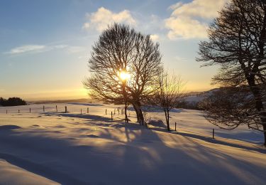 Randonnée Raquettes à neige Picherande - Chareire_Fontaine_Salee_3 - Photo