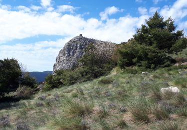 Tocht Stappen Saint-Auban - L'arpille près de Sausses - Photo