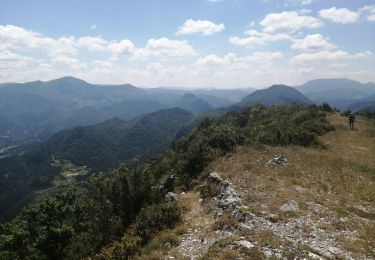 Trail Walking La Chaudière - Le mont faraud - Photo