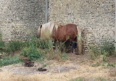 Percorso Marcia Vesly - vesly Guerny par le chêne  - Photo