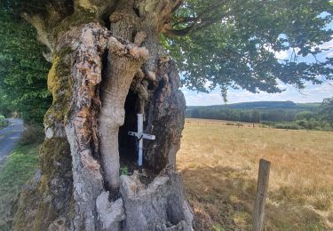 Tocht Stappen Houffalize - rando engreux 27-07-2022 - Photo