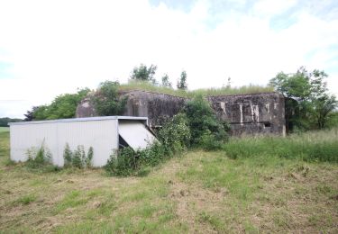 Tour Zu Fuß Longuyon - Circuit de Revémont - Photo