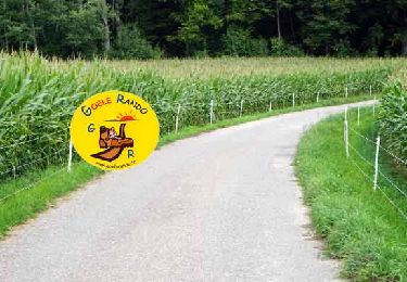 Trail Walking Rouvres - SM_ROUVRES_8.1Km - Photo