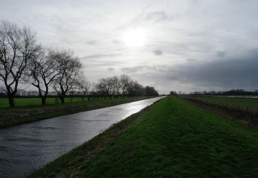 Tocht Te voet South Holland - Willow Tree Fen Blue intermediate route - Photo