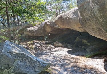 Tocht Stappen Fontainebleau - Fontainebleau sentier Denecourt 7 ouest prolongé  - Photo