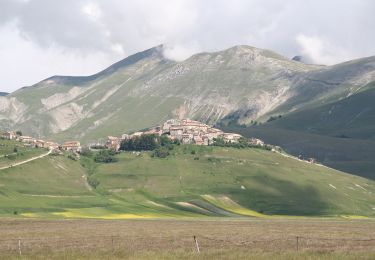 Percorso A piedi Norcia - Castelluccio di Norcia (SI)/Rifugio Capanna Ghezzi - Photo