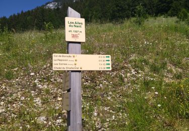 Trail Walking Bellecombe-en-Bauges - 73 banc plat dent de porte  - Photo