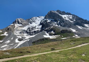 Trail Walking Pralognan-la-Vanoise - Col de la Vanoise - Photo