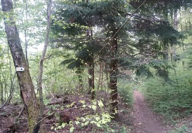 Tour Wandern Sentheim - Sentheim Grambaechle - Photo