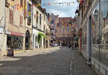 Excursión Senderismo Semur-en-Auxois - semur visite - Photo