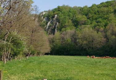 Tour Wandern Ferrières - Sy 030522 - Photo