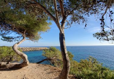 Tocht Stappen Martigues - Cap Couronne - Photo