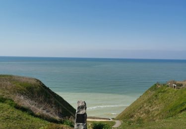 Trail Walking Petit-Caux - St Martin en campagne Belleville sur mer  - Photo