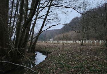 Trail Walking Blegny - A la découverte de Trembleur 🥾 - Photo