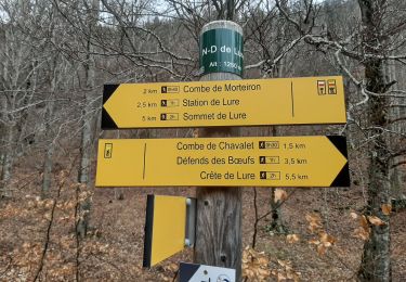 Trail Walking Cruis - CRUIS . Jas Roche . Combe de Chevalet . ND de Lure o - Photo