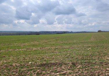 Tocht Stappen Thuin - Thuin 130325 - Photo