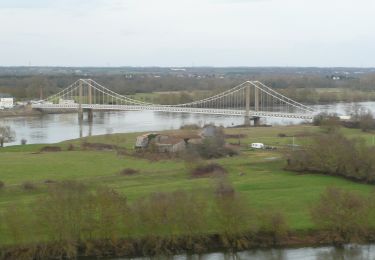 Excursión A pie Mauges-sur-Loire - circuit Èvre et Loire - Photo