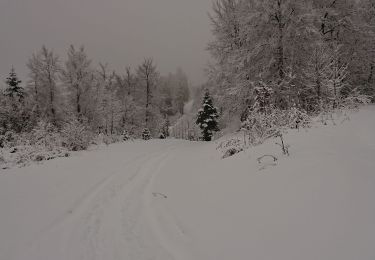 Randonnée Raquettes à neige Les Premiers-Sapins - rando raquettes Nods  - Photo