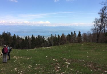 Trail Walking Saint-Cergue - La Dole - Photo