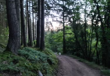 Randonnée Marche Auzon - petite balade du soir - Photo