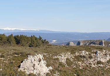 Tour Wandern Orgon - Orgon Nd de Beauregard - Photo