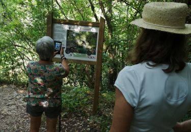 Excursión Senderismo Saint-Cézaire-sur-Siagne - la Siagne - Photo