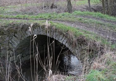 Randonnée A pied Helmstadt-Bargen - Rundwanderweg Bargen 1: Kälbertshausen-Weg - Photo