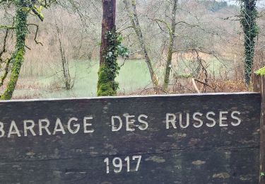 Tocht Stappen Izernore - izernore barrage d'intriat des tablettes et ce ui reste du barrage desrusses - Photo