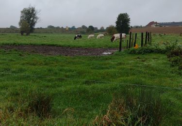 Tocht Stappen Zinnik - Promenade Piedescaus Soignies - Photo