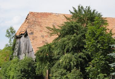 Randonnée A pied Franking - 1. Bauerngolf Wanderweg - große Runde - Photo