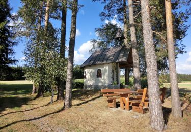 Excursión A pie Pullenreuth - Neusorg Rundweg 2 - Photo