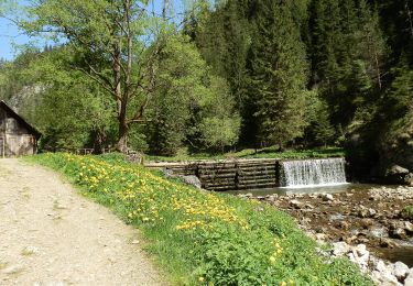 Tocht Te voet okres Liptovský Mikuláš - Náučný chodník Prosiecka a Kvačianska dolina - Photo