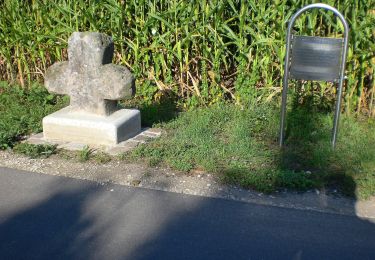 Tour Zu Fuß Wendelstein - Kornburg - Neuses - Photo