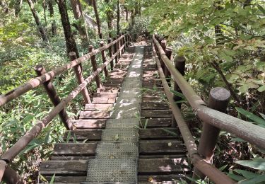 Tocht Stappen  - Boucle du Peak Cheonwangbong  - Photo