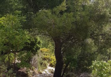 Tour Wandern Marseille - CE calanques morgiou et sugiton - Photo