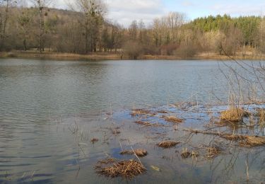 Randonnée Marche Valzin-en-Petite-Montagne - lac de Viremont  - Photo