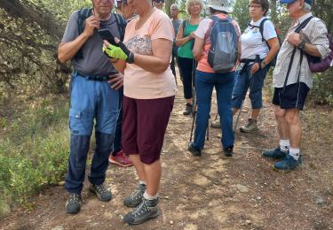 Tocht Stappen Laure-Minervois - Laure Mvois (Capitelles) - Photo
